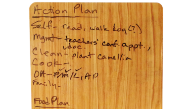 Action Plan by Susan P.